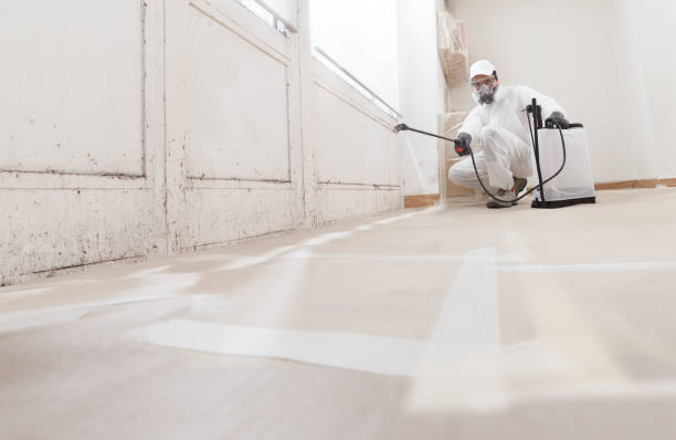 24/7 Emergency Black Mold Removal experts in Glencoe, FL