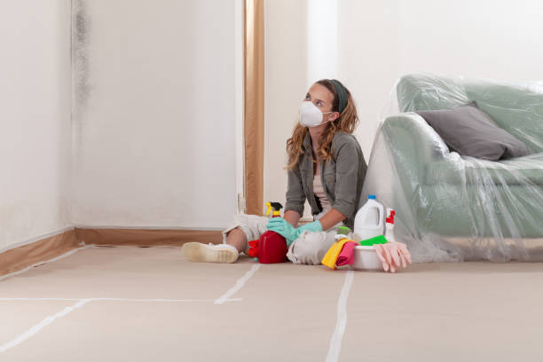 Reliable Black Mold Removal contractor in Glencoe, FL by WQB Mold Removal